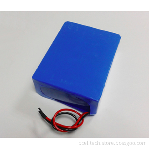 LITHIUM LiFePO4 12V 50AH BATTERY PACK